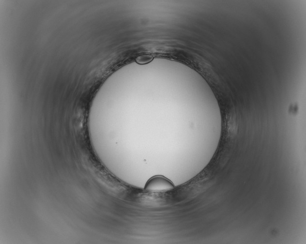 X0000110920567200907021502