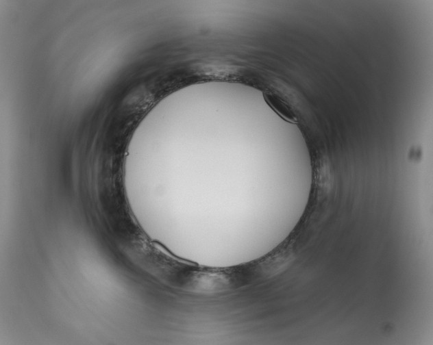 X0000110920572200907021502