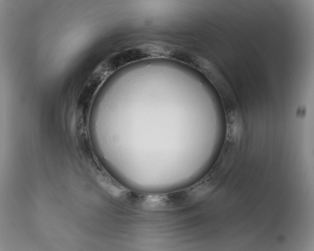 X0000110920573200907021502