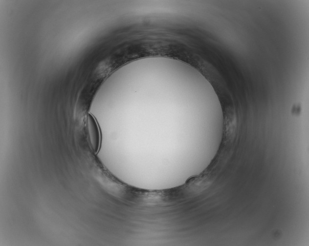 X0000110920574200907021502