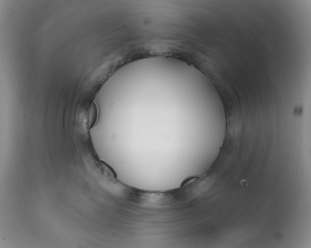 X0000110920575200907021502