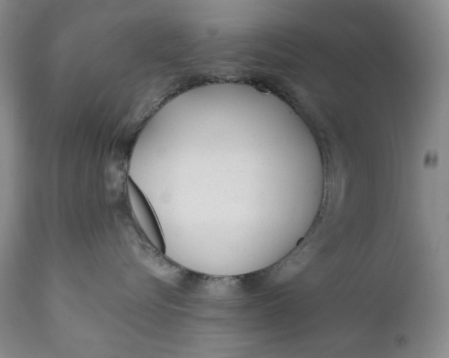 X0000110920576200907021502