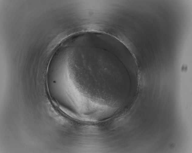 X0000110920577200907021501