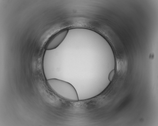 X0000110920579200907021501