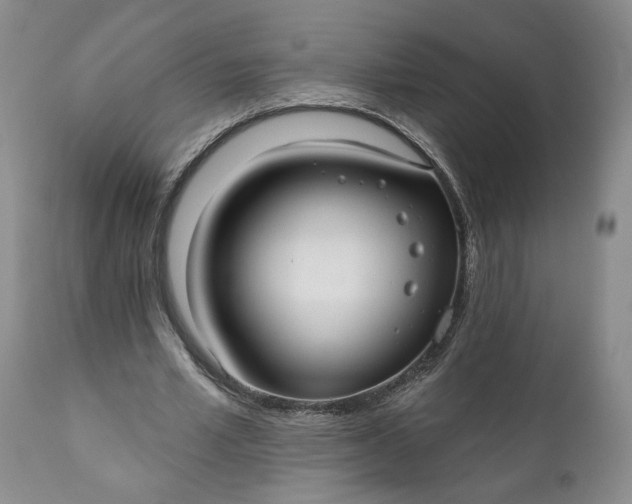 X0000110920581200907021501