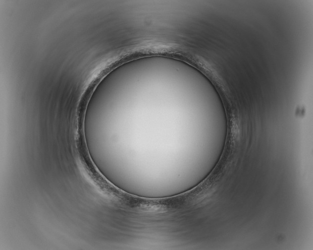 X0000110920582200907021501