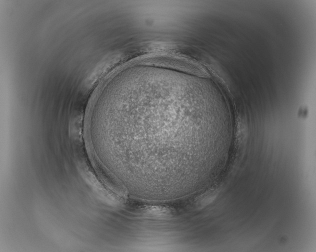 X0000110920585200907021501