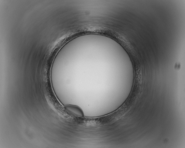 X0000110920587200907021501
