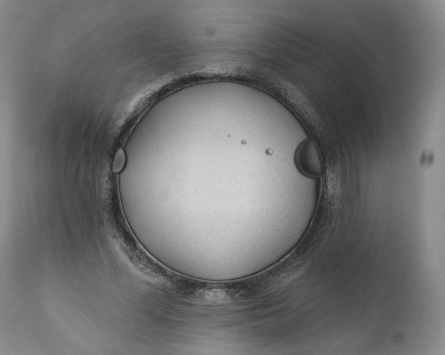 X0000110920588200907021501