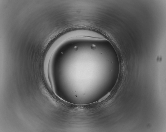 X0000110920589200907021501