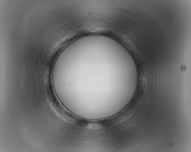 X0000110920591200907021501