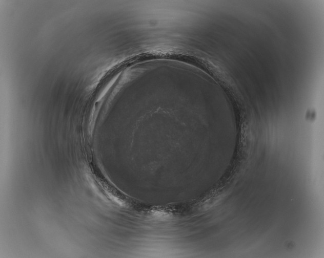 X0000110920592200907021501