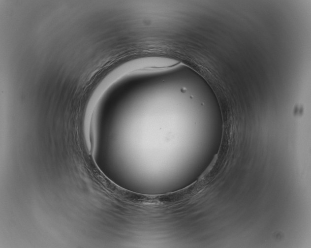 X0000110920595200907021501