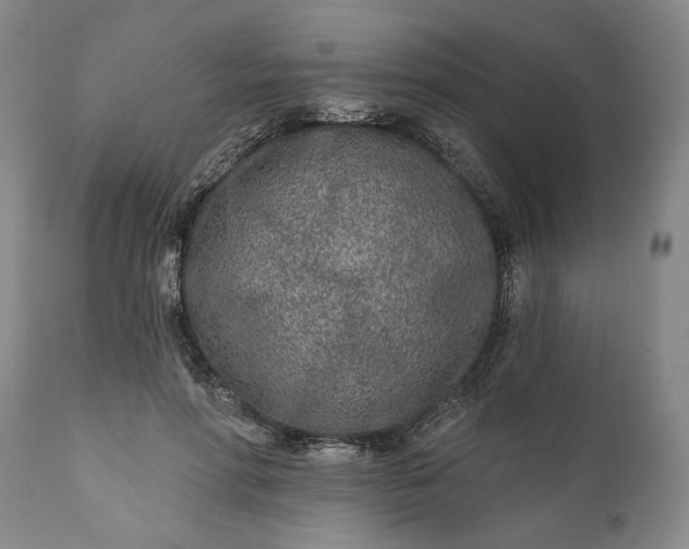 X0000110920598200907021501