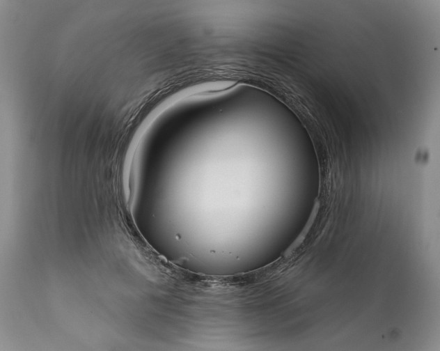 X0000110920601200907021501