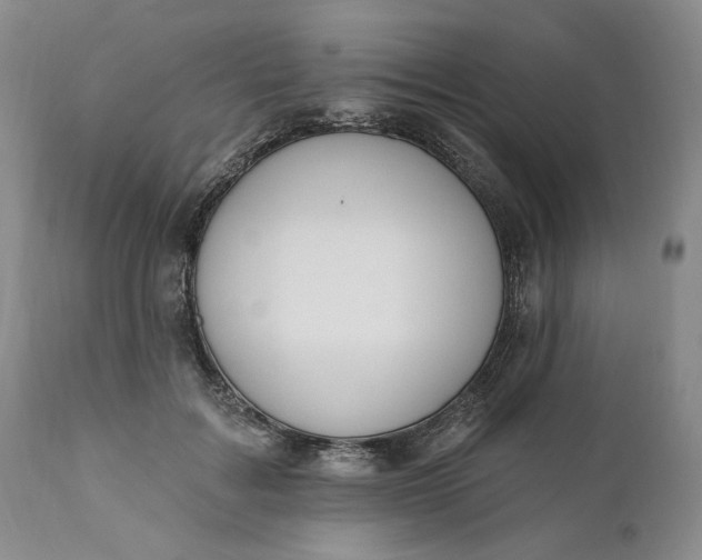 X0000110920603200907021501