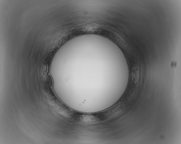 X0000110920605200907021501