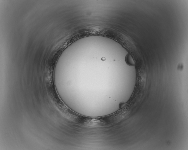 X0000110920607200907021501