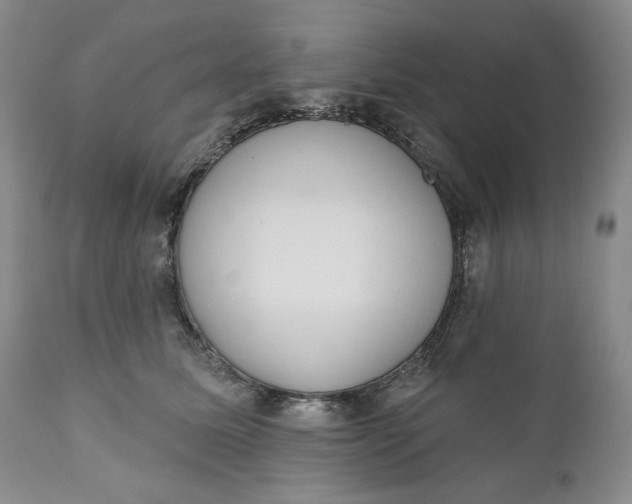 X0000110920611200907021501