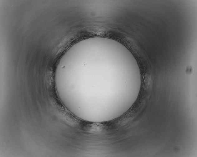 X0000110920612200907021501