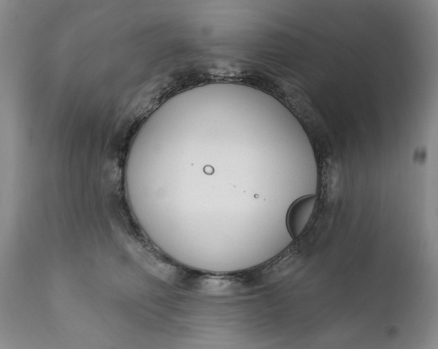 X0000110920614200907021501