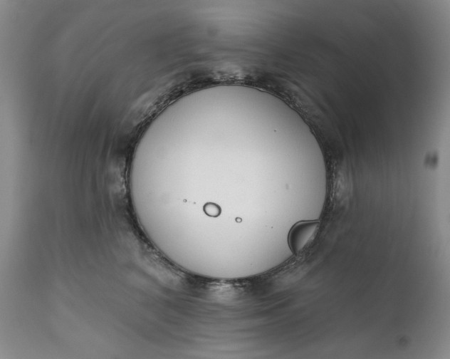 X0000110920616200907021501