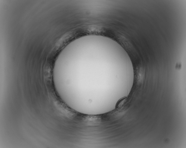 X0000110920619200907021501