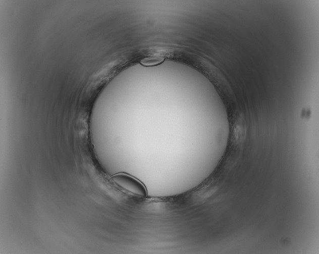 X0000110920620200907021501