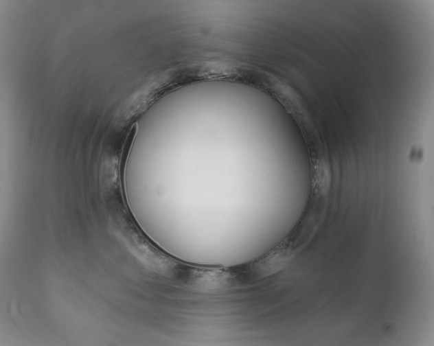X0000110920621200907021501