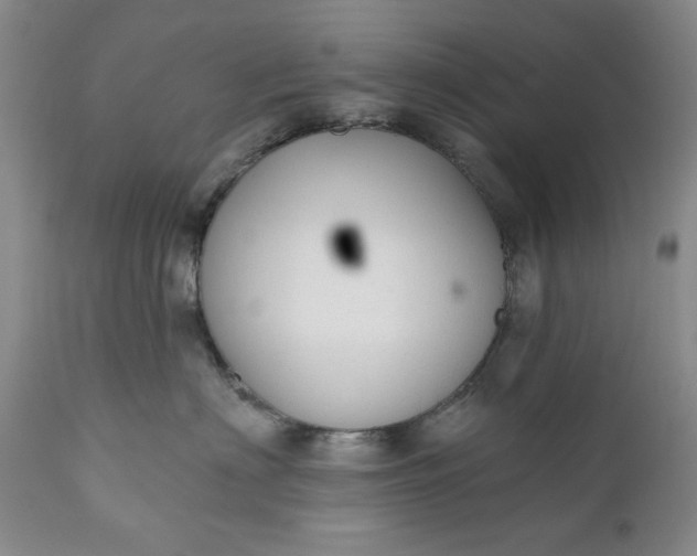 X0000110920622200907021501