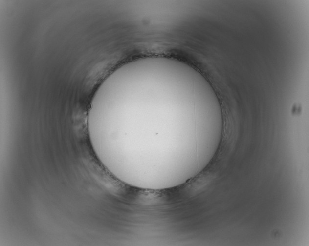 X0000110920624200907021501