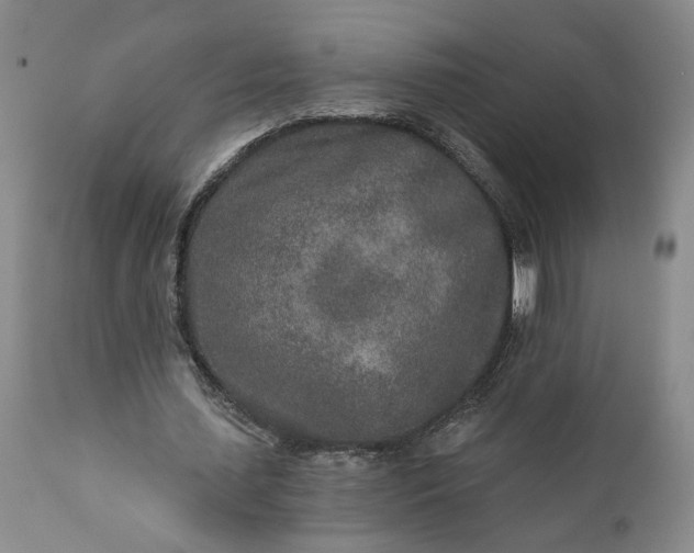 X0000110920627200907021500
