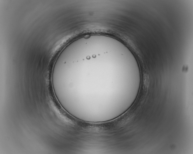 X0000110920629200907021500