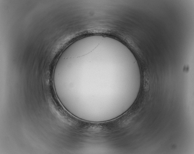 X0000110920631200907021500