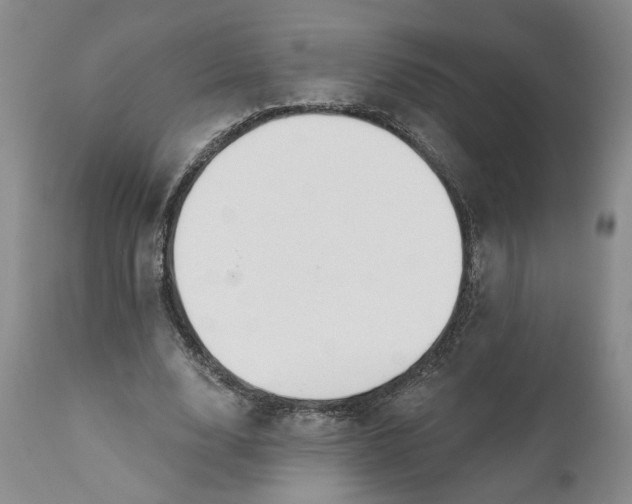 X0000110920632200907021500