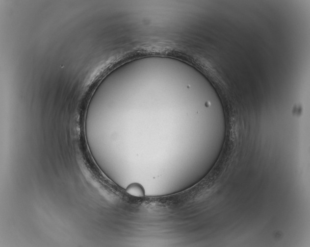 X0000110920634200907021500