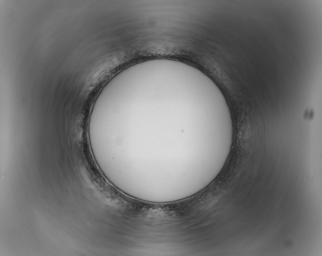 X0000110920635200907021500