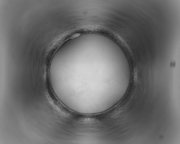 X0000110920637200907021500