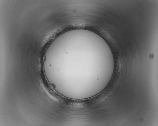 X0000110920638200907021500