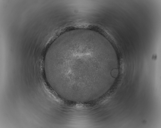 X0000110920641200907021500