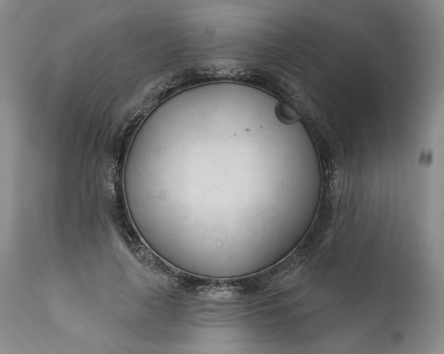 X0000110920643200907021500