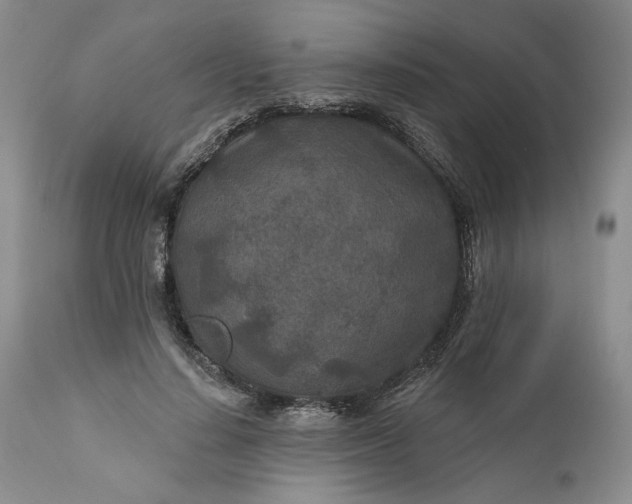 X0000110920644200907021500