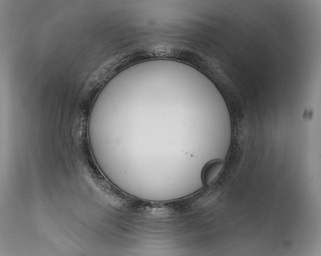 X0000110920645200907021500