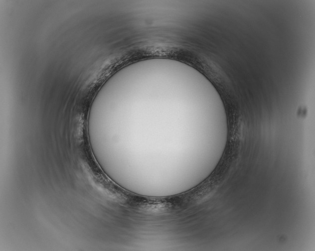 X0000110920646200907021500