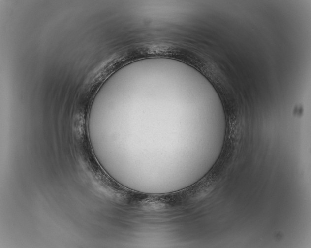 X0000110920648200907021500