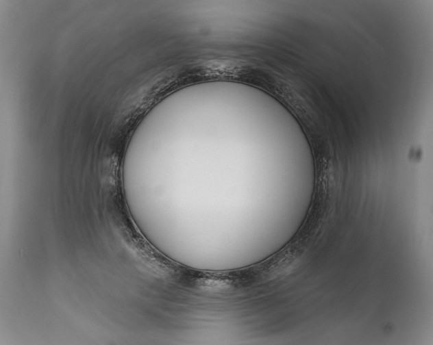 X0000110920649200907021500