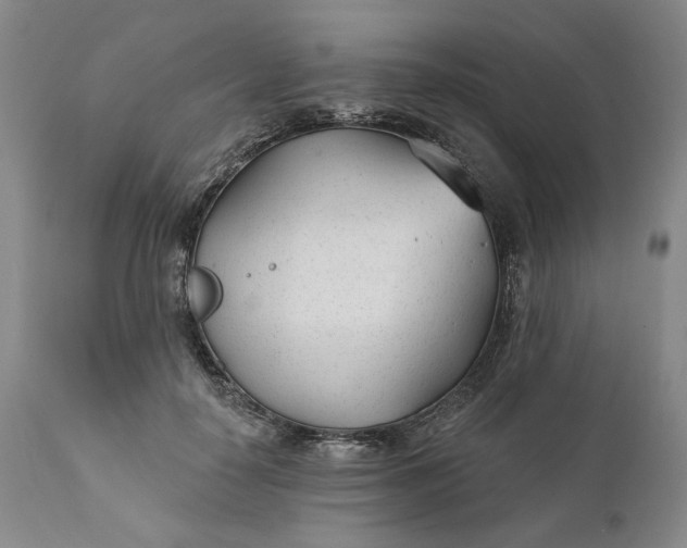 X0000110920650200907021500