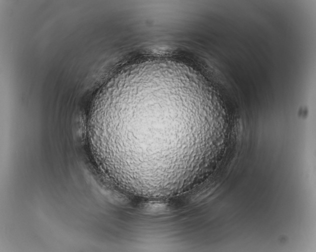 X0000110920651200907021500