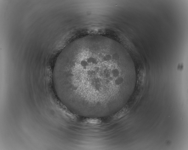 X0000110920659200907021500