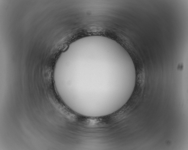 X0000110920662200907021500